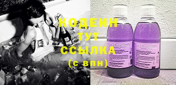 индика Сафоново