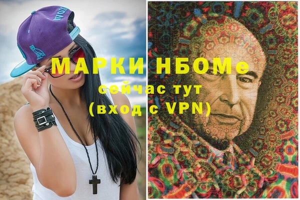 индика Сафоново