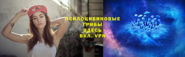 прущая мука Рославль