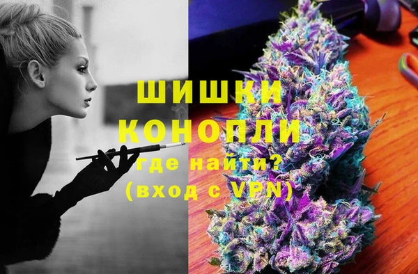 индика Сафоново