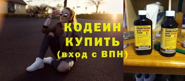 индика Сафоново