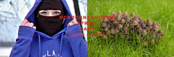 героин Сатка