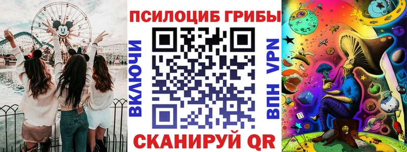 наркотики  Советск  hydra   Псилоцибиновые грибы Cubensis 